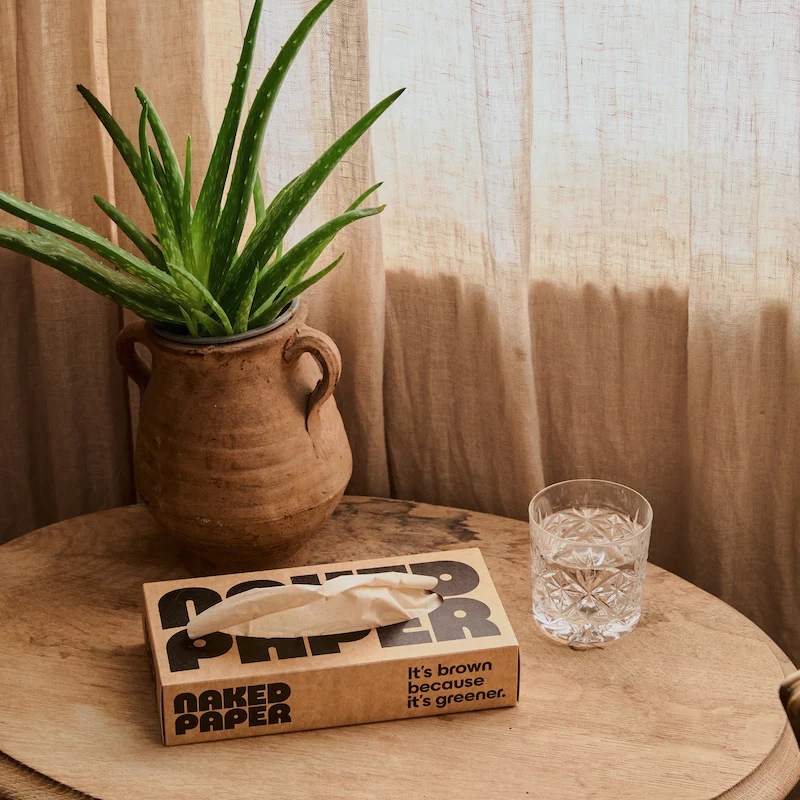 Unbleached Bamboo Tissues - Image 3