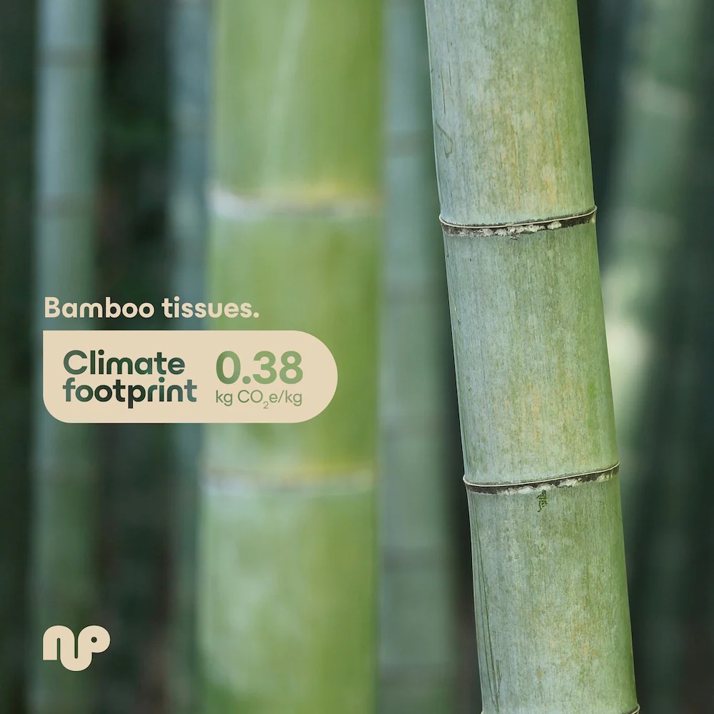 Unbleached Bamboo Tissues - Image 8