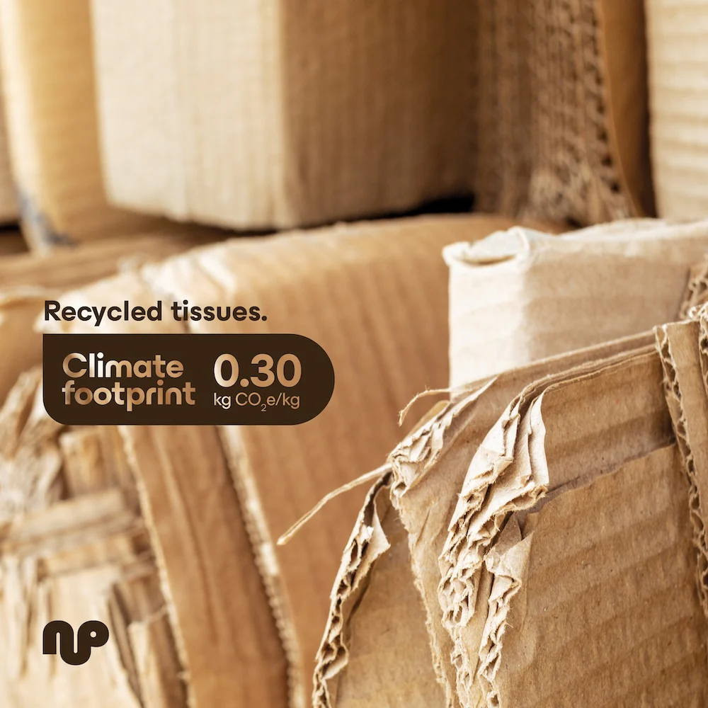 Unbleached Recycled Tissues - Image 8